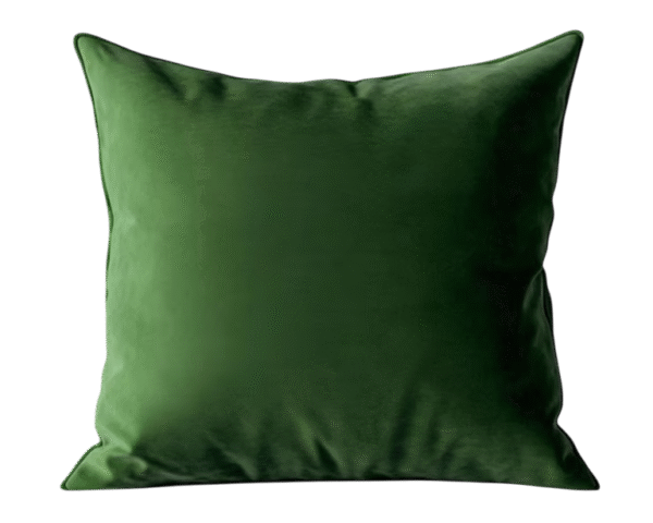 Cushion With Cover - Image 2
