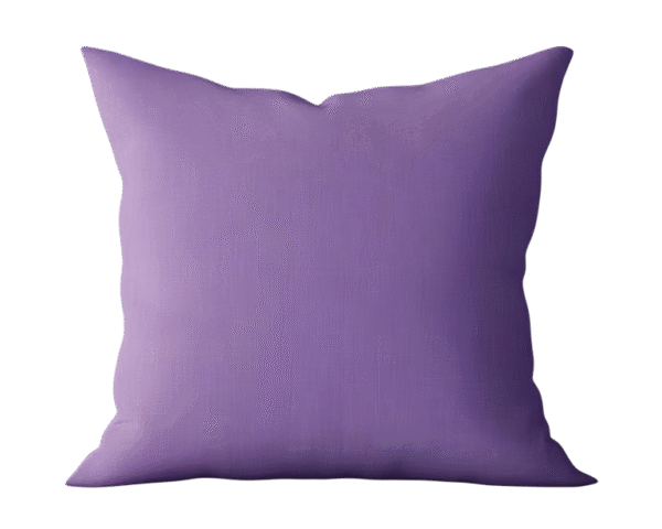 Cushion With Cover - Image 3