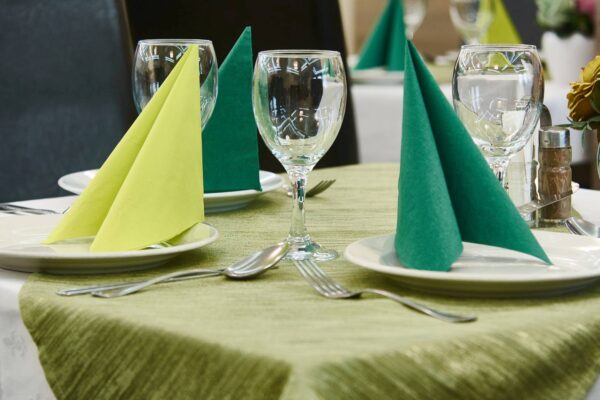 Table Napkin - Image 4
