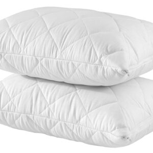 Pillow Protector